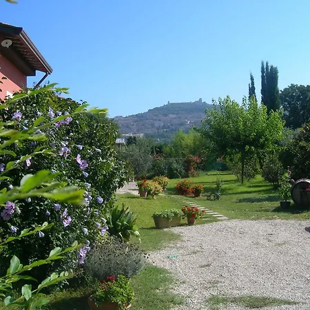 Vista Bed & Breakfast