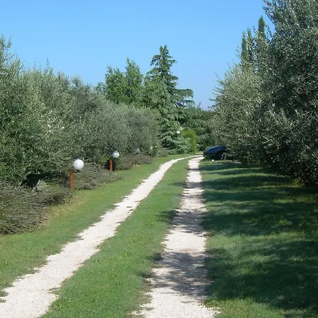 فندق مبيت وإفطار Vista