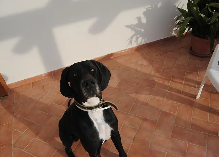 Vista Alojamento de Acomodação e Pequeno-almoço